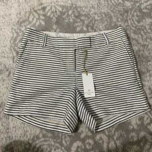 Saint Tropez West shorts